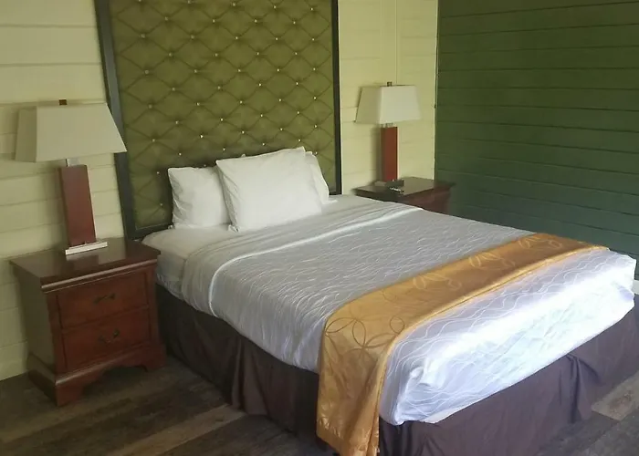 La Petite Motel 2*